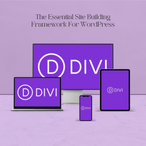 Divi Theme For WordPress-The Most Popular WordPress Themes